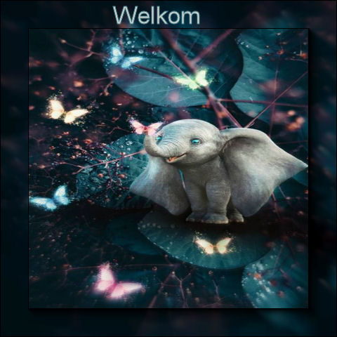 Set-Olifantje-Welko…