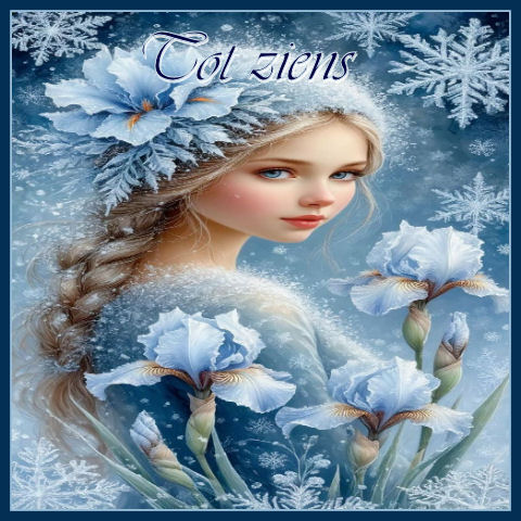 Set-Sneeuwvlok-tot …